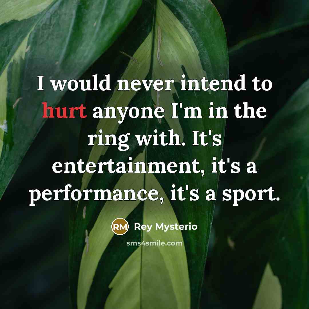 “I would never intend to hurt anyone I'm in the ring with. It's entertainment, it's a performance, it's a sport.” quote by Rey Mysterio