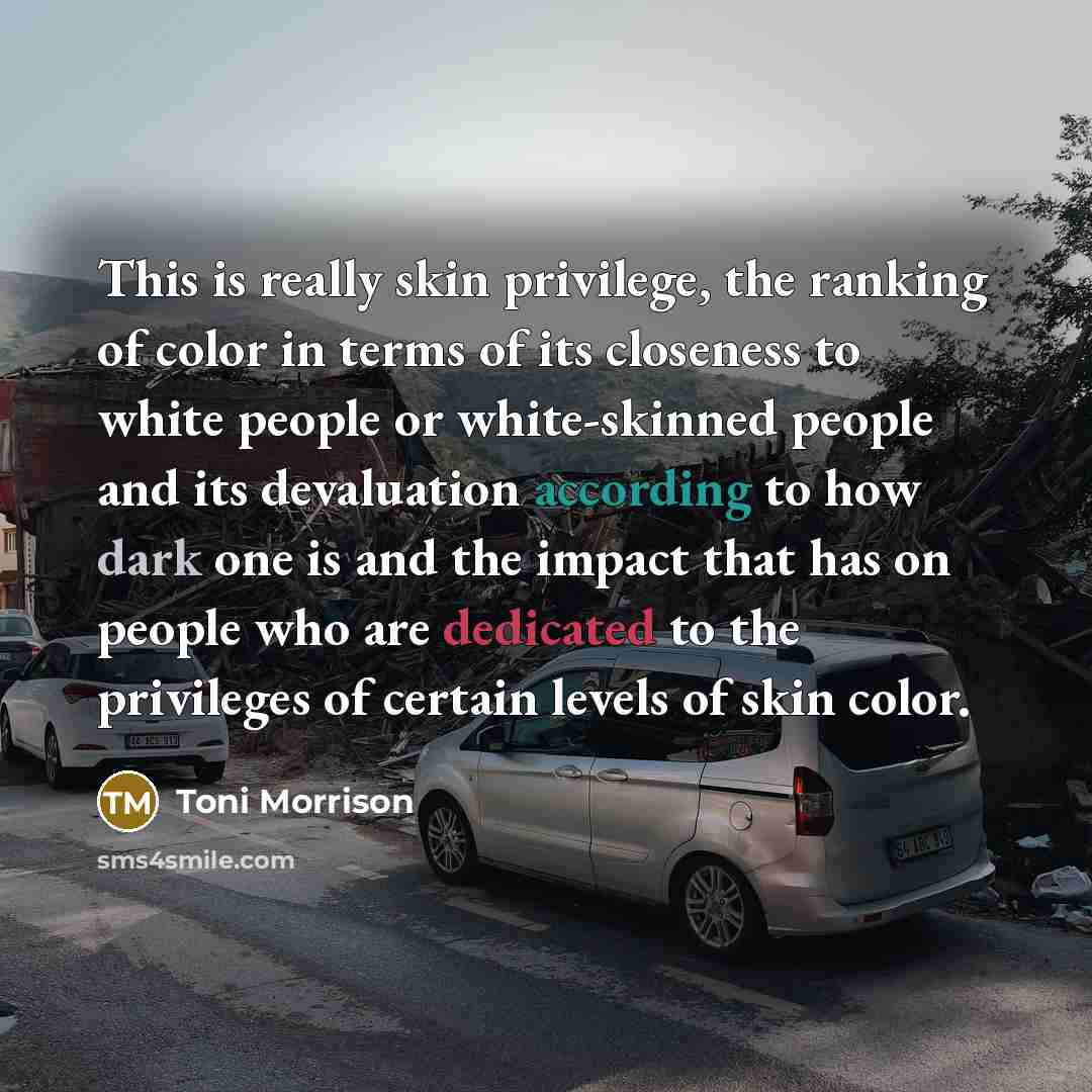 “This is really skin privilege, the ranking of color in terms of its closeness to white people or white-skinned people and its devaluation according to how dark one is and the impact that has on people who are dedicated to the privileges of certain levels of skin color.” quote by Toni Morrison