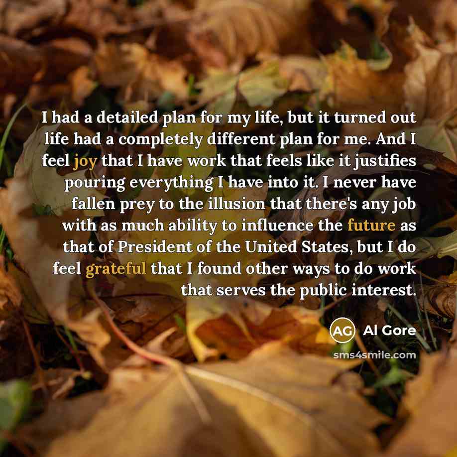 “I had a detailed plan for my life, but it turned out life had a completely different plan for me. And I feel joy that I have work that feels like it justifies pouring everything I have into it. I never have fallen prey to the illusion that there's any job with as much ability to influence the…” quote by Al Gore