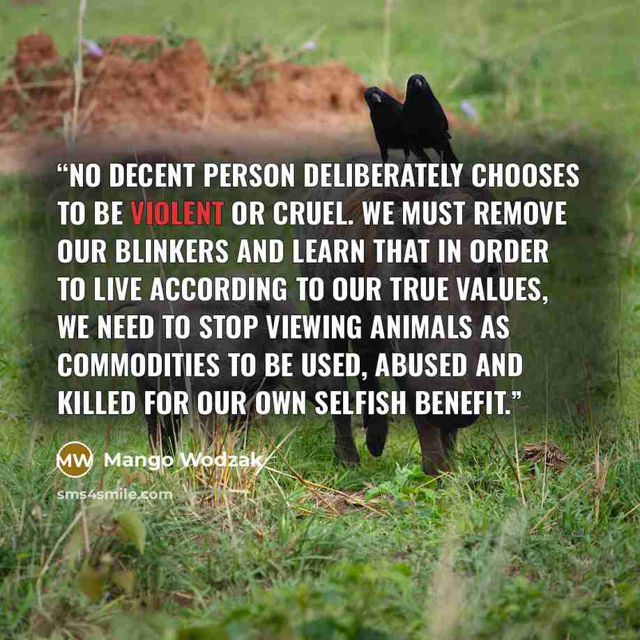 “No decent person deliberately chooses to be violent or cruel. We must remove our blinkers and learn that in order to live according to our true values, we need to stop viewing animals as commodities to be used, abused and killed for our own selfish benefit.” quote by Mango Wodzak