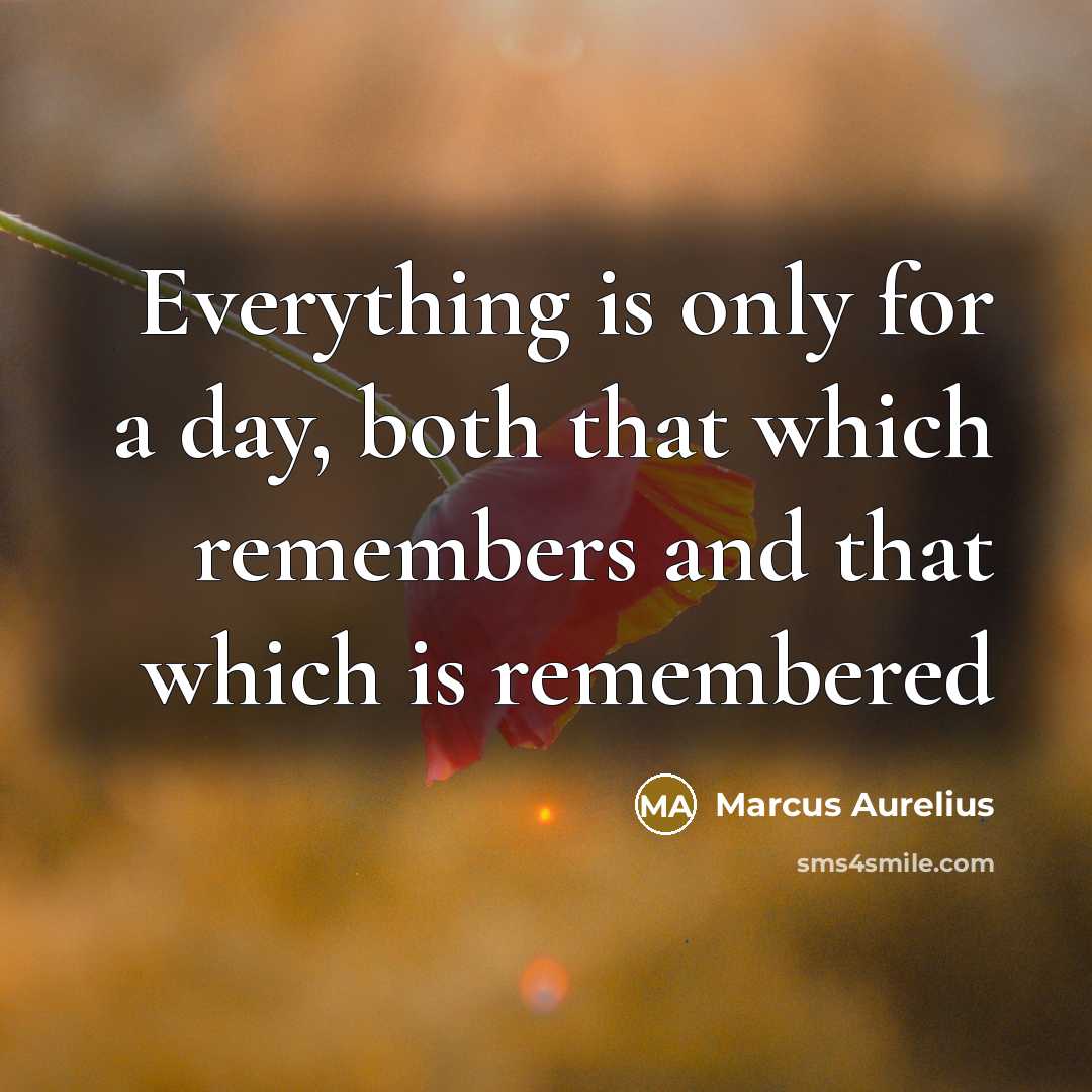 “Everything is only for a day, both that which remembers and that which is remembered” quote by Marcus Aurelius