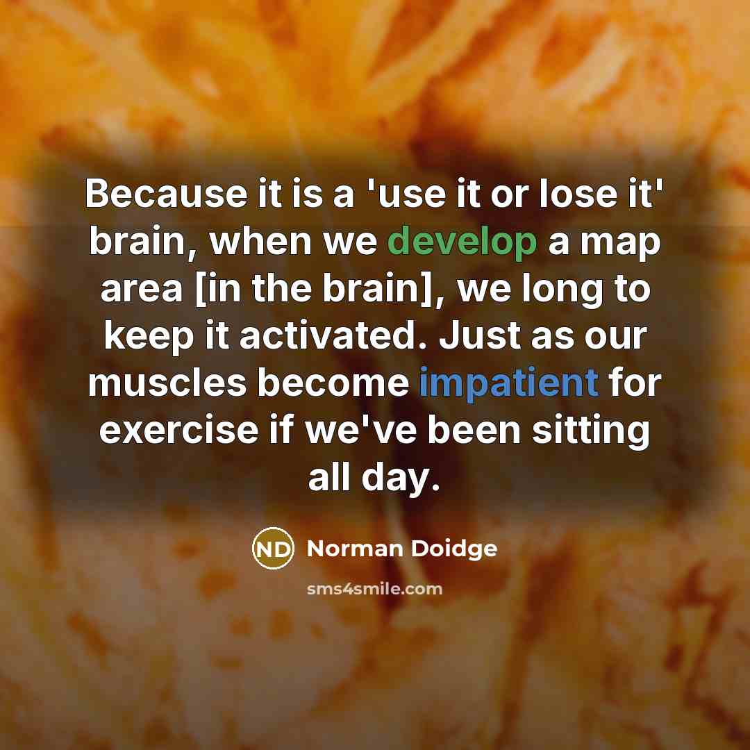 “Because it is a 'use it or lose it' brain, when we develop a map area [in the brain], we long to keep it activated. Just as our muscles become impatient for exercise if we've been sitting all day.” quote by Norman Doidge