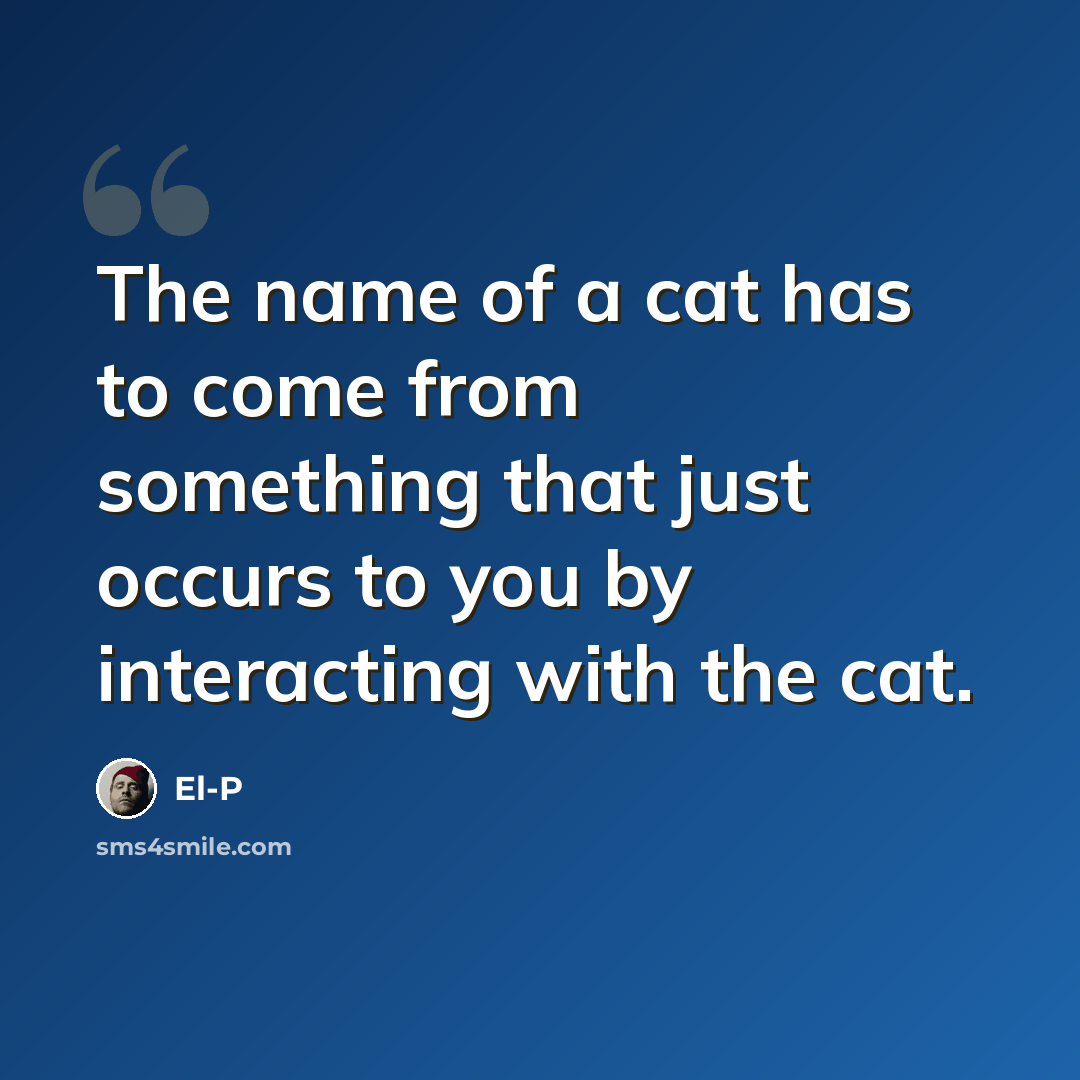 “The name of a cat has to come from something that just occurs to you by interacting with the cat.” quote by El-P