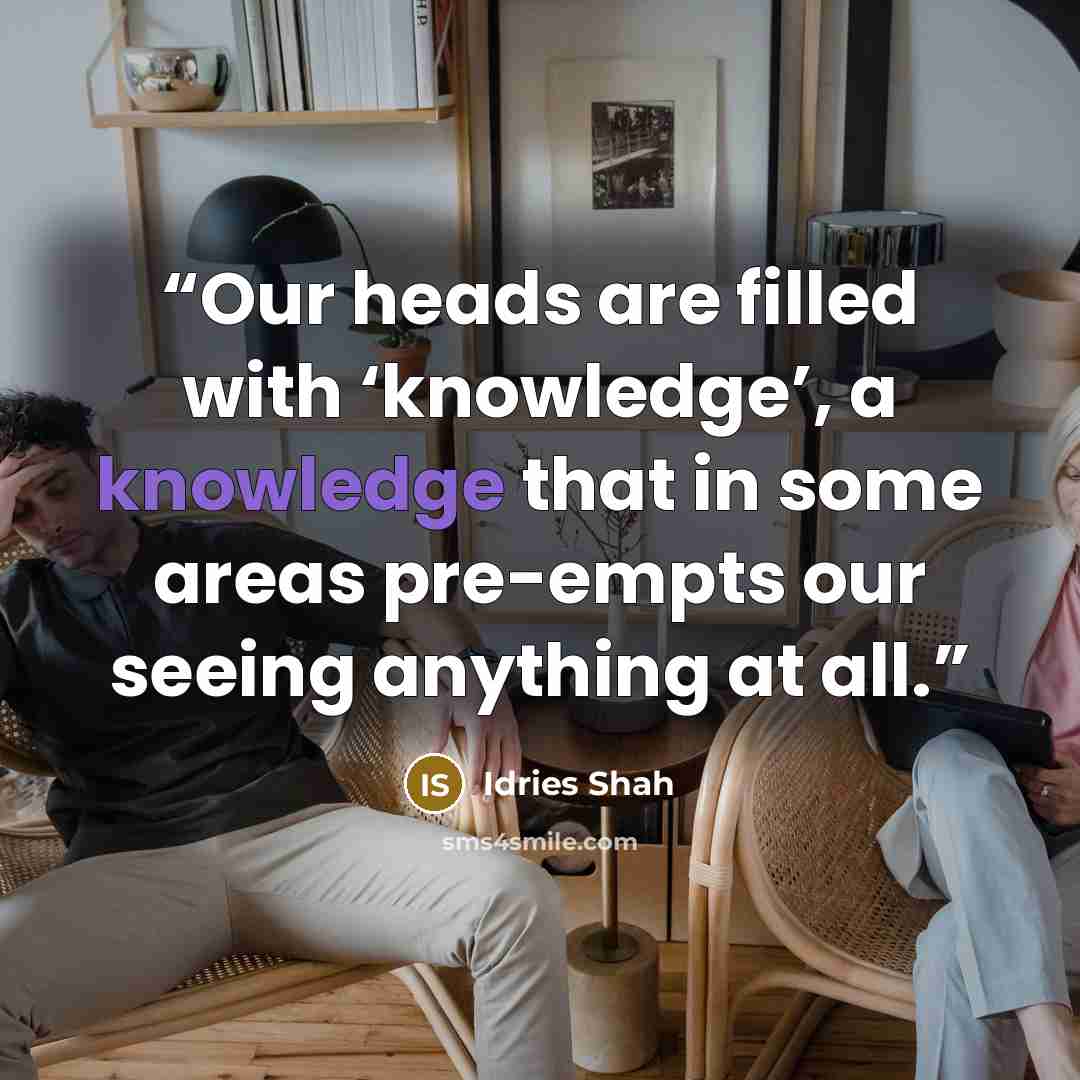 “Our heads are filled with ‘knowledge’, a knowledge that in some areas pre-empts our seeing anything at all.” quote by Idries Shah