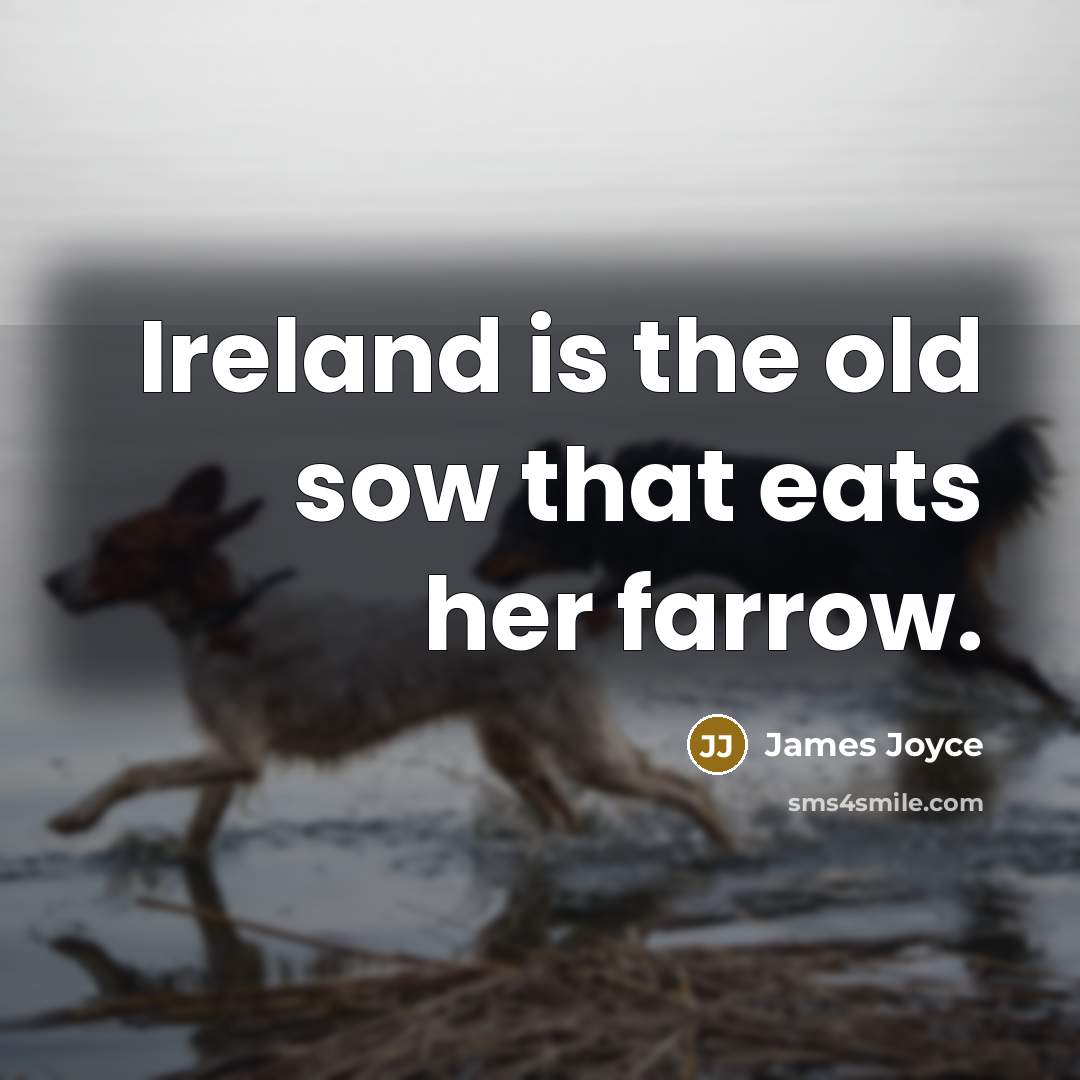 “Ireland is the old sow that eats her farrow.” quote by James Joyce