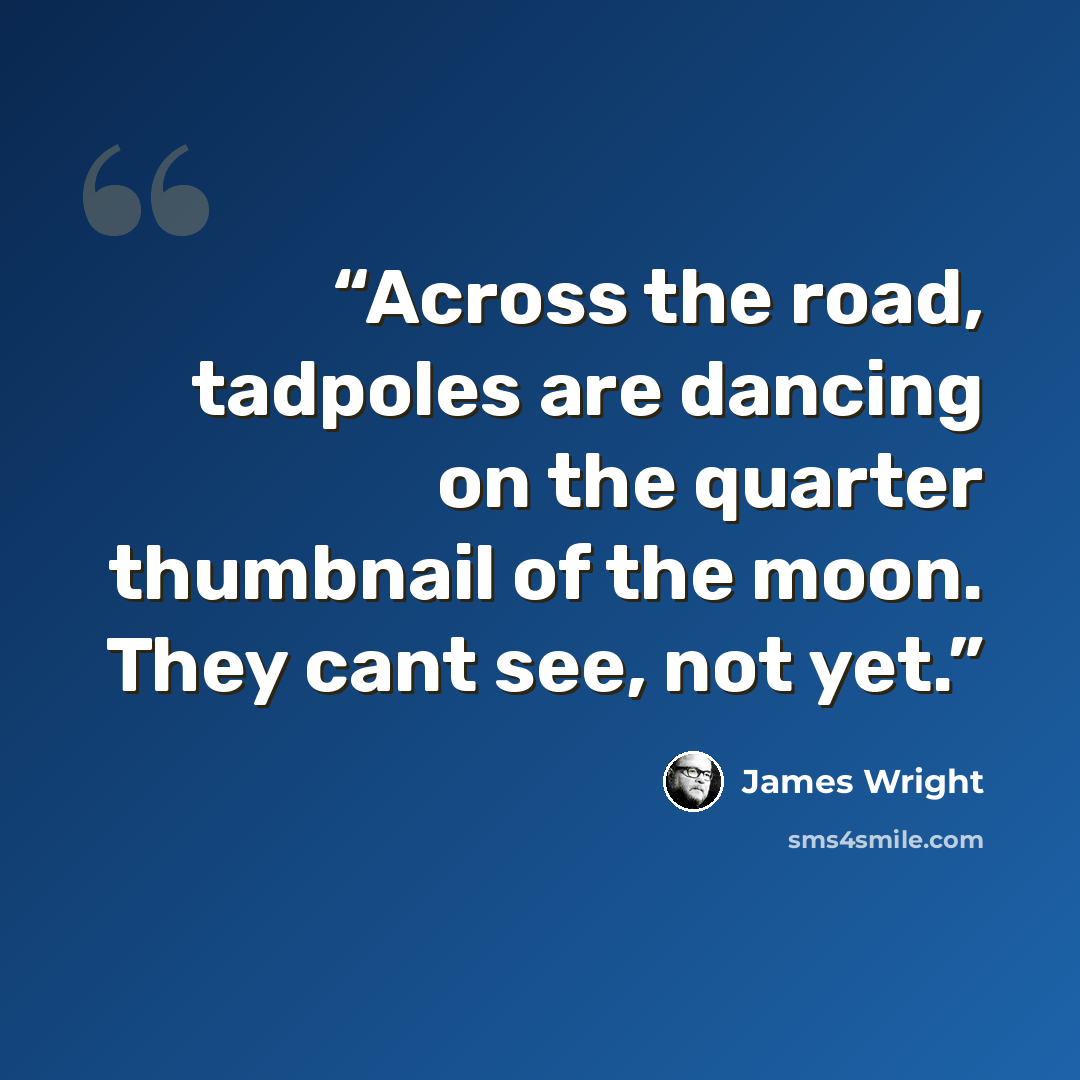 “Across the road, tadpoles are dancing on the quarter thumbnail of the moon. They cant see, not yet.” quote by James Wright