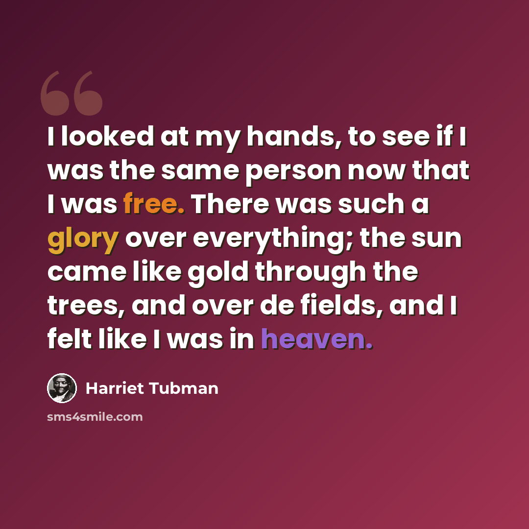 “I looked at my hands, to see if I was the same person now that I was free. There was such a glory over everything; the sun came like gold through the trees, and over de fields, and I felt like I was in heaven.” quote by Harriet Tubman