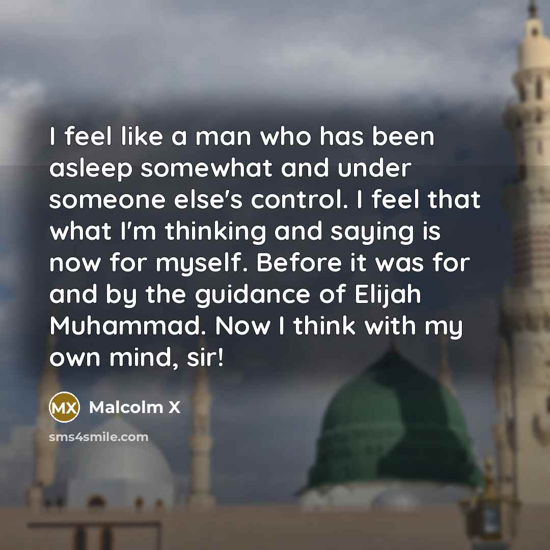 “I feel like a man who has been asleep somewhat and under someone else's control. I feel that what I'm thinking and saying is now for myself. Before it was for and by the guidance of Elijah Muhammad. Now I think with my own mind, sir!” quote by Malcolm X