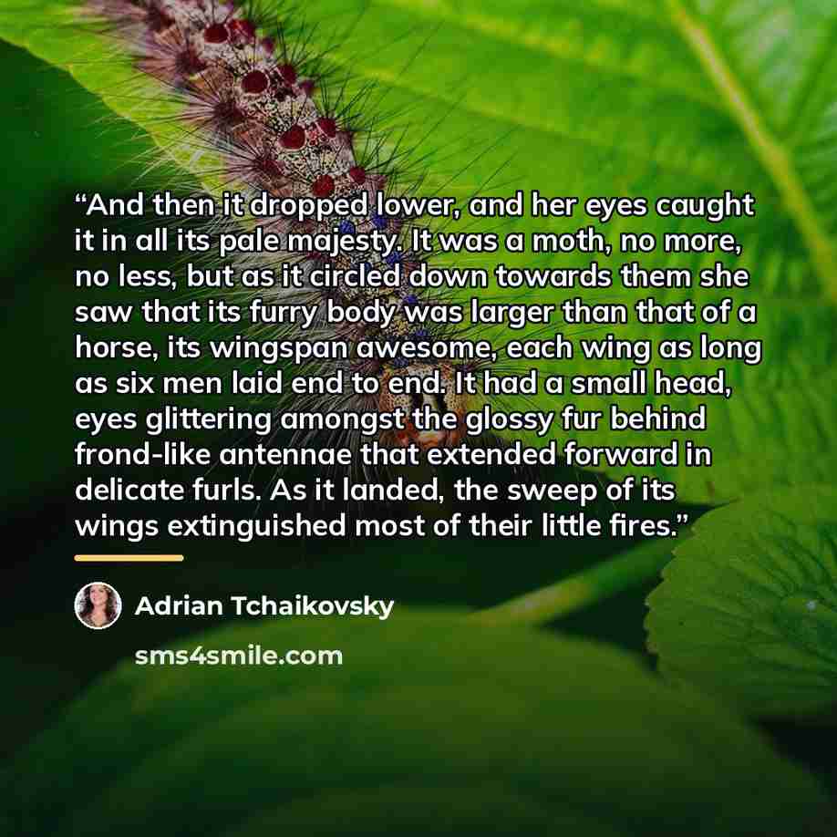 “And then it dropped lower, and her eyes caught it in all its pale majesty. It was a moth, no more, no less, but as it circled down towards them she saw that its furry body was larger than that of a horse, its wingspan awesome, each wing as long as six men laid end to end. It had a small head, eyes…” quote by Adrian Tchaikovsky