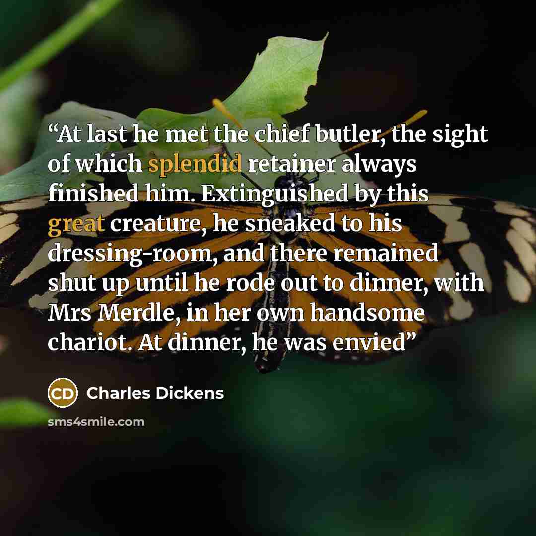 “At last he met the chief butler, the sight of which splendid retainer always finished him. Extinguished by this great creature, he sneaked to his dressing-room, and there remained shut up until he rode out to dinner, with Mrs Merdle, in her own handsome chariot. At dinner, he was envied” quote by Charles Dickens