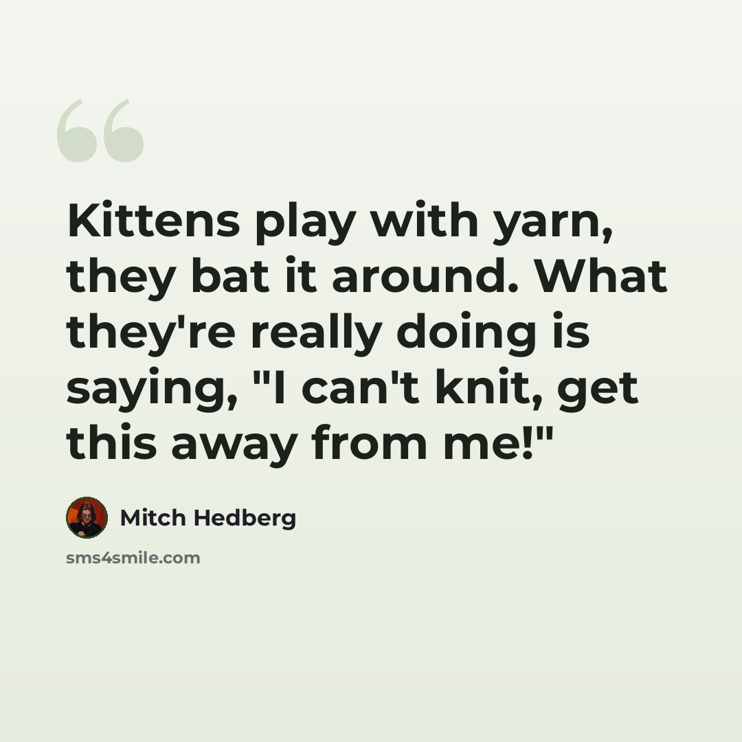 “Kittens play with yarn, they bat it around. What they're really doing is saying, "I can't knit, get this away from me!"” quote by Mitch Hedberg