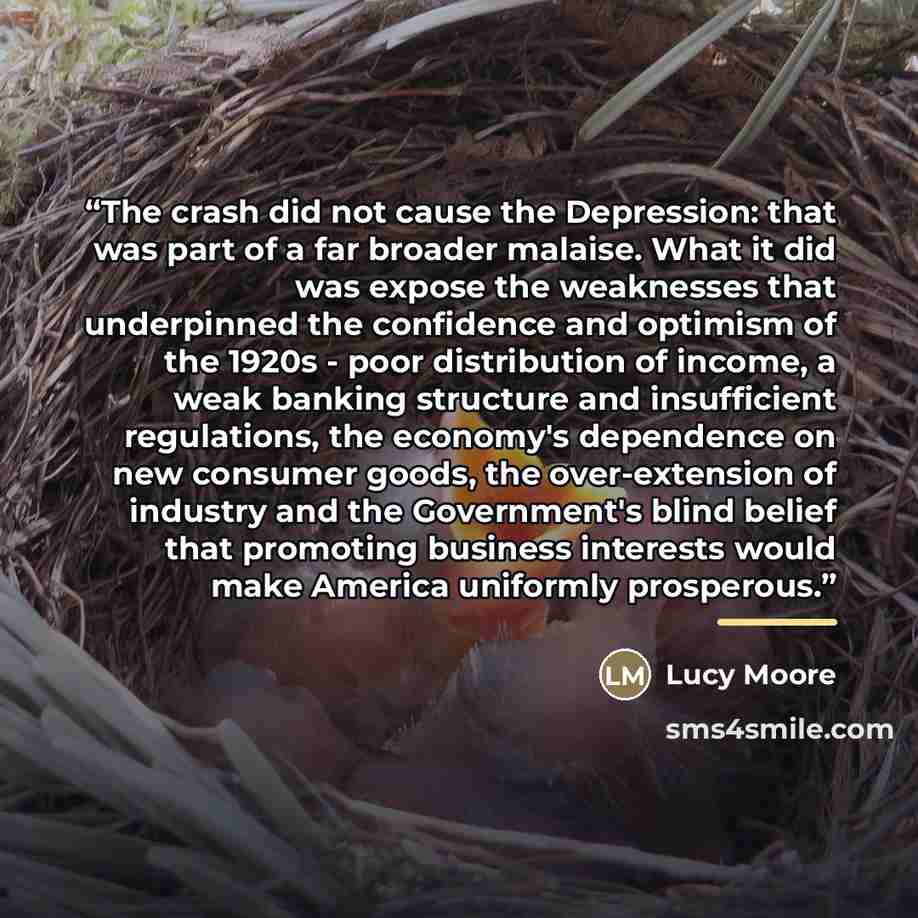 “The crash did not cause the Depression: that was part of a far broader malaise. What it did was expose the weaknesses that underpinned the confidence and optimism of the 1920s - poor distribution of income, a weak banking structure and insufficient regulations, the economy's dependence on new…” quote by Lucy Moore