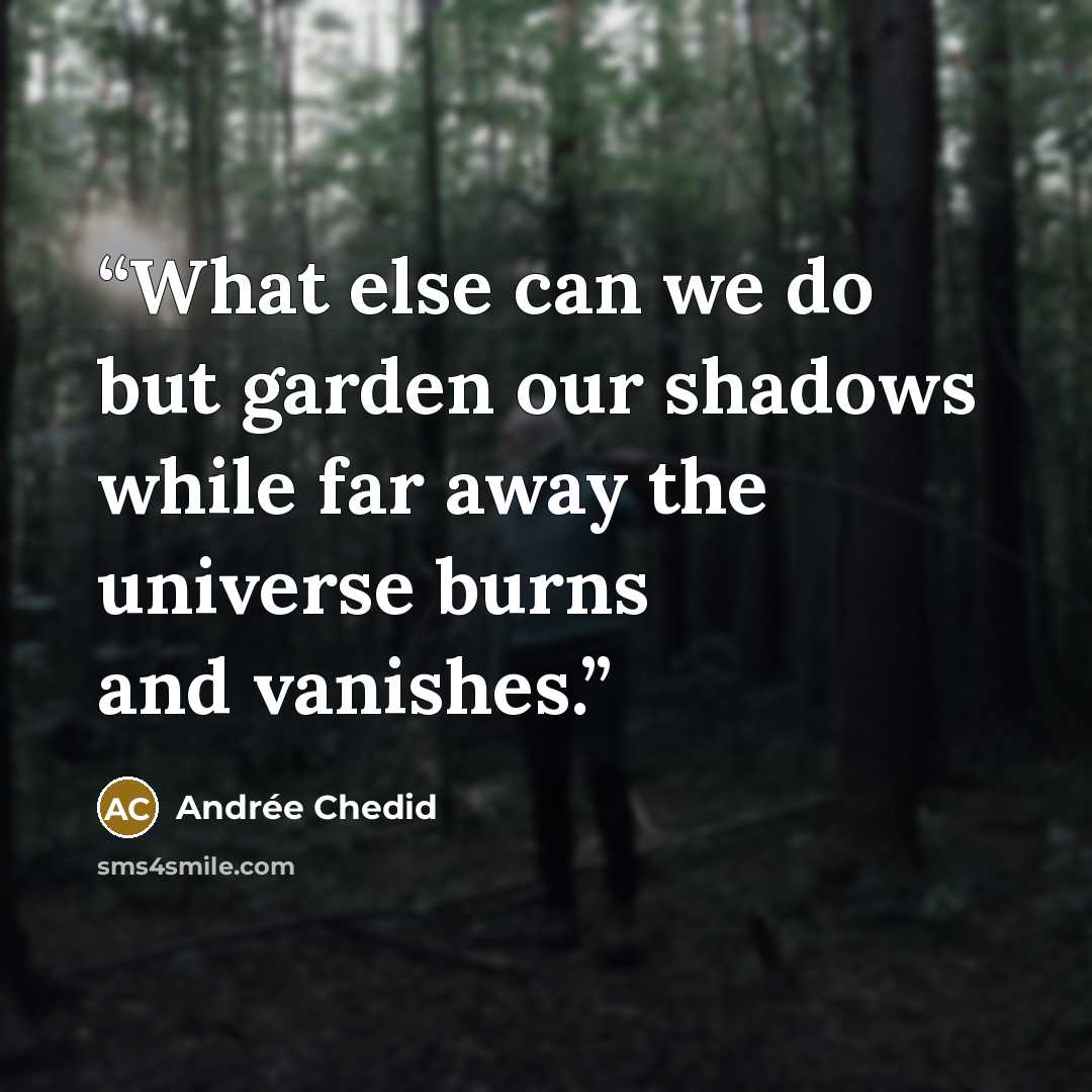 “What else can we do but garden our shadows while far away the universe burns and vanishes.” quote by Andrée Chedid