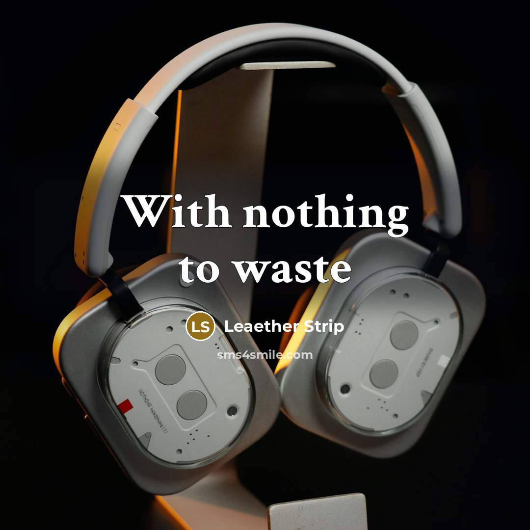 “With nothing to waste” quote by Leaether Strip