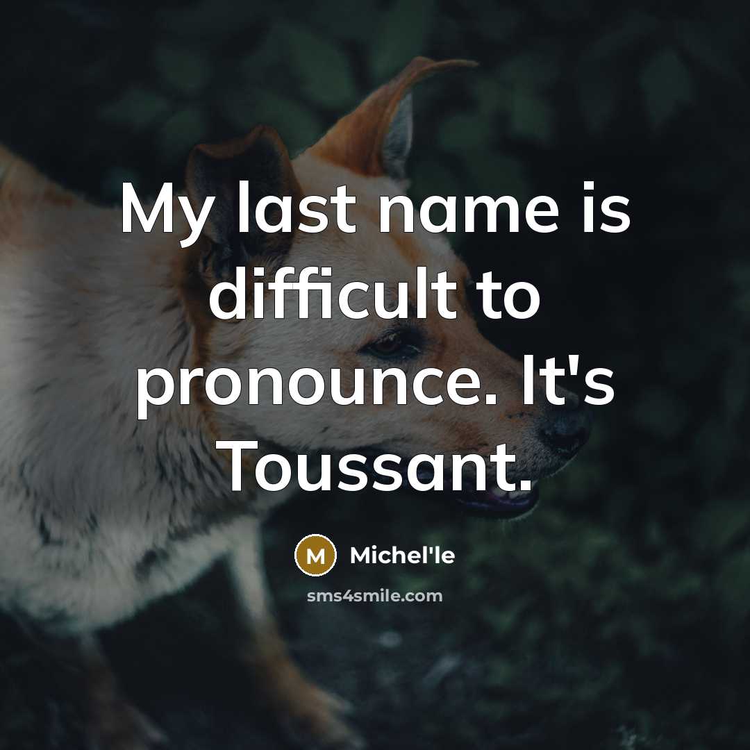 “My last name is difficult to pronounce. It's Toussant.” quote by Michel'le