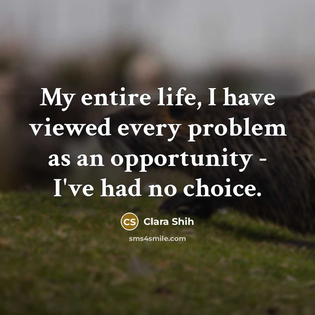 “My entire life, I have viewed every problem as an opportunity - I've had no choice.” quote by Clara Shih