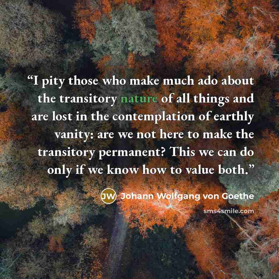 “I pity those who make much ado about the transitory nature of all things and are lost in the contemplation of earthly vanity: are we not here to make the transitory permanent? This we can do only if we know how to value both.” quote by Johann Wolfgang von Goethe
