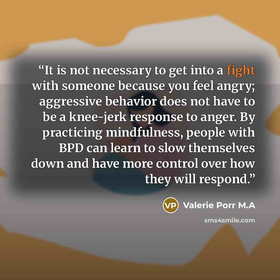 “It is not necessary to get into a fight with someone because you feel angry; aggressive behavior does not have to be a knee-jerk response to anger. By practicing mindfulness, people with BPD can learn to slow themselves down and have more control over how they will respond.” quote by Valerie Porr M.A