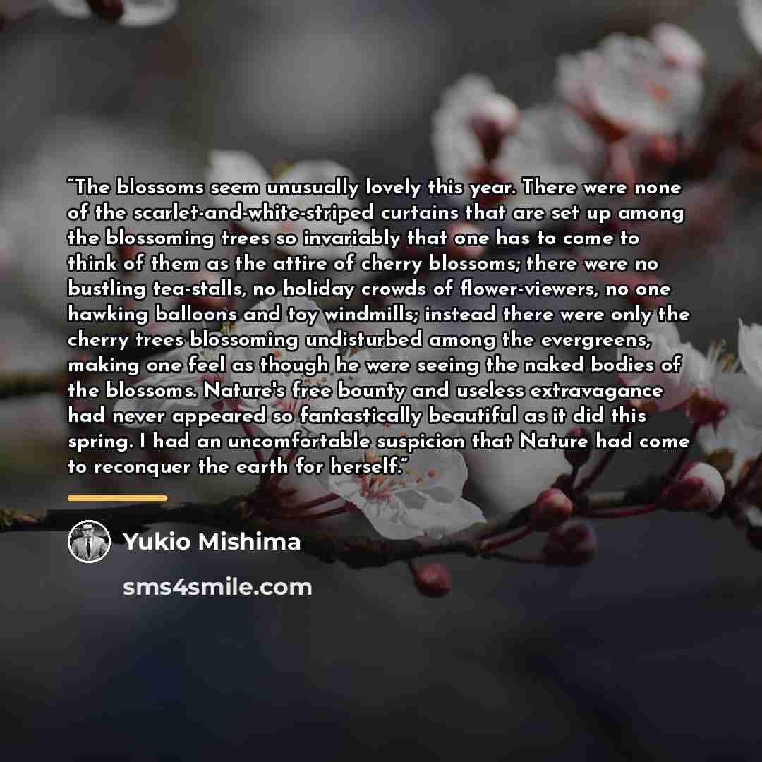 “The blossoms seem unusually lovely this year. There were none of the scarlet-and-white-striped curtains that are set up among the blossoming trees so invariably that one has to come to think of them as the attire of cherry blossoms; there were no bustling tea-stalls, no holiday crowds of…” quote by Yukio Mishima