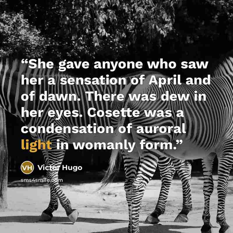 “She gave anyone who saw her a sensation of April and of dawn. There was dew in her eyes. Cosette was a condensation of auroral light in womanly form.” quote by Victor Hugo