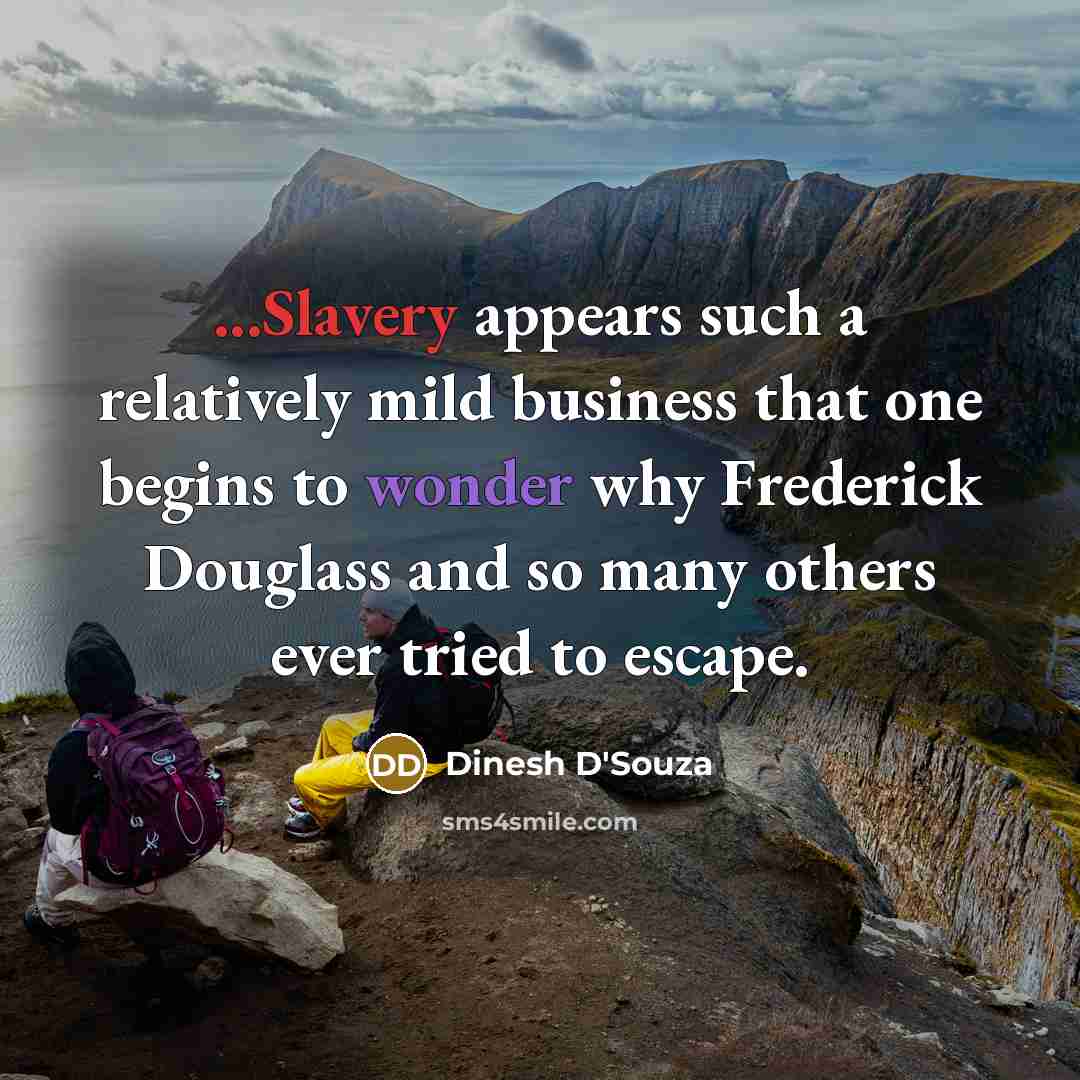 “...Slavery appears such a relatively mild business that one begins to wonder why Frederick Douglass and so many others ever tried to escape.” quote by Dinesh D'Souza