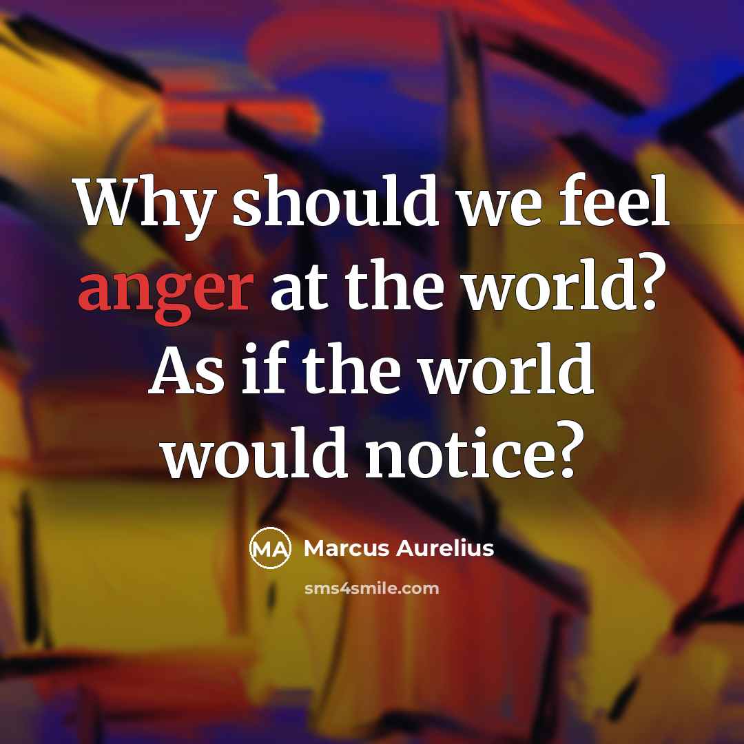 “Why should we feel anger at the world? As if the world would notice?” quote by Marcus Aurelius