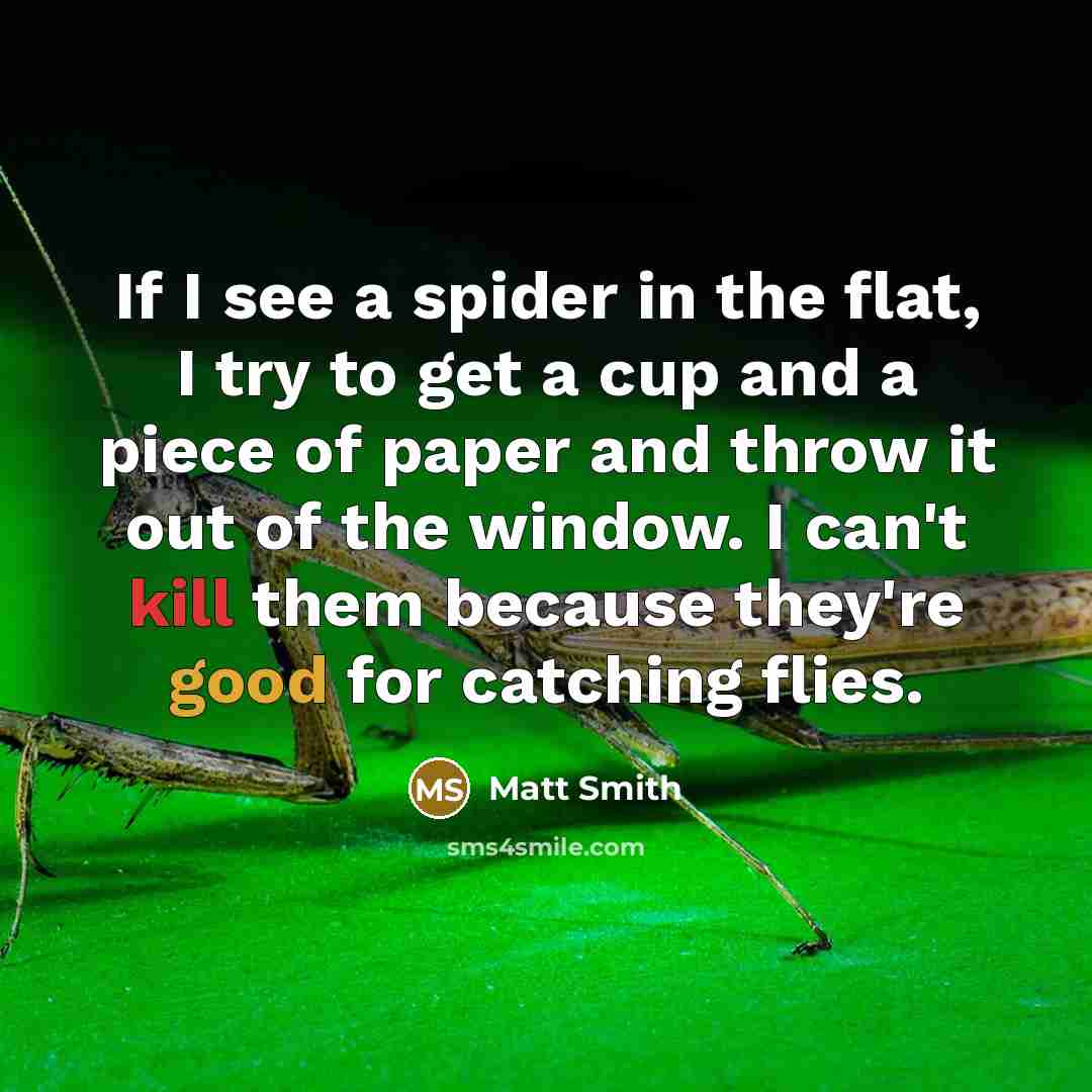 “If I see a spider in the flat, I try to get a cup and a piece of paper and throw it out of the window. I can't kill them because they're good for catching flies.” quote by Matt Smith