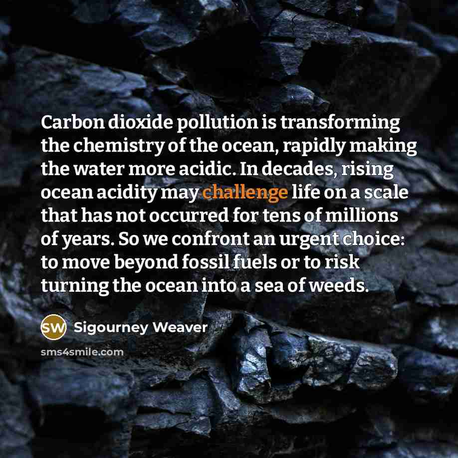 “Carbon dioxide pollution is transforming the chemistry of the ocean, rapidly making the water more acidic. In decades, rising ocean acidity may challenge life on a scale that has not occurred for tens of millions of years. So we confront an urgent choice: to move beyond fossil fuels or to risk…” quote by Sigourney Weaver
