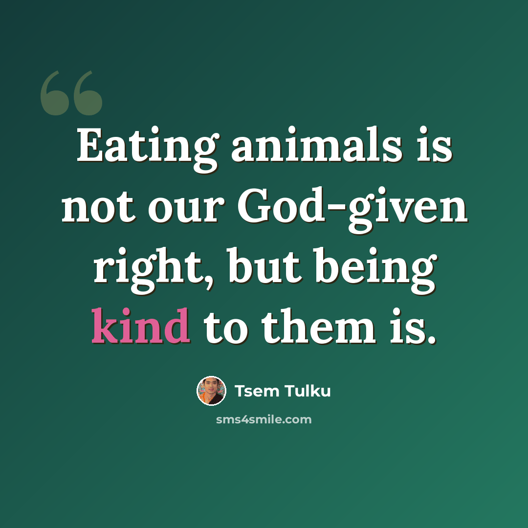 “Eating animals is not our God-given right, but being kind to them is.” quote by Tsem Tulku