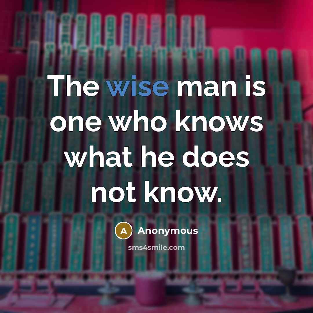 “The wise man is one who knows what he does not know.” quote by Anonymous