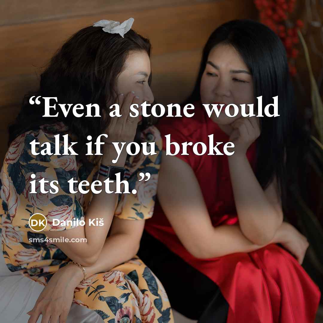 “Even a stone would talk if you broke its teeth.” quote by Danilo Kiš