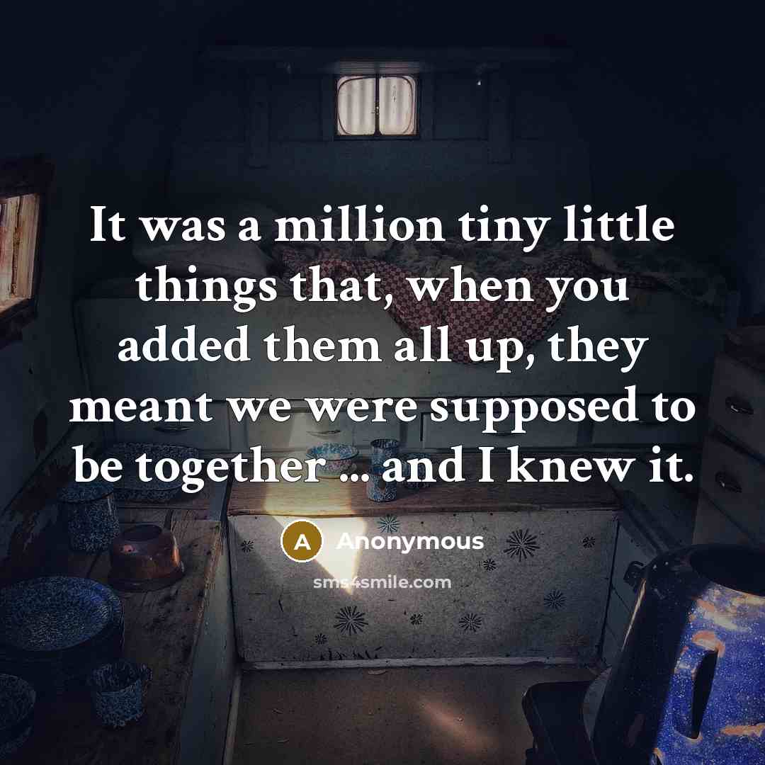 “It was a million tiny little things that, when you added them all up, they meant we were supposed to be together ... and I knew it.” quote by Anonymous