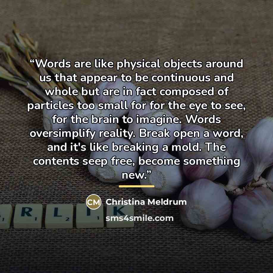 “Words are like physical objects around us that appear to be continuous and whole but are in fact composed of particles too small for for the eye to see, for the brain to imagine. Words oversimplify reality. Break open a word, and it's like breaking a mold. The contents seep free, become something…” quote by Christina Meldrum