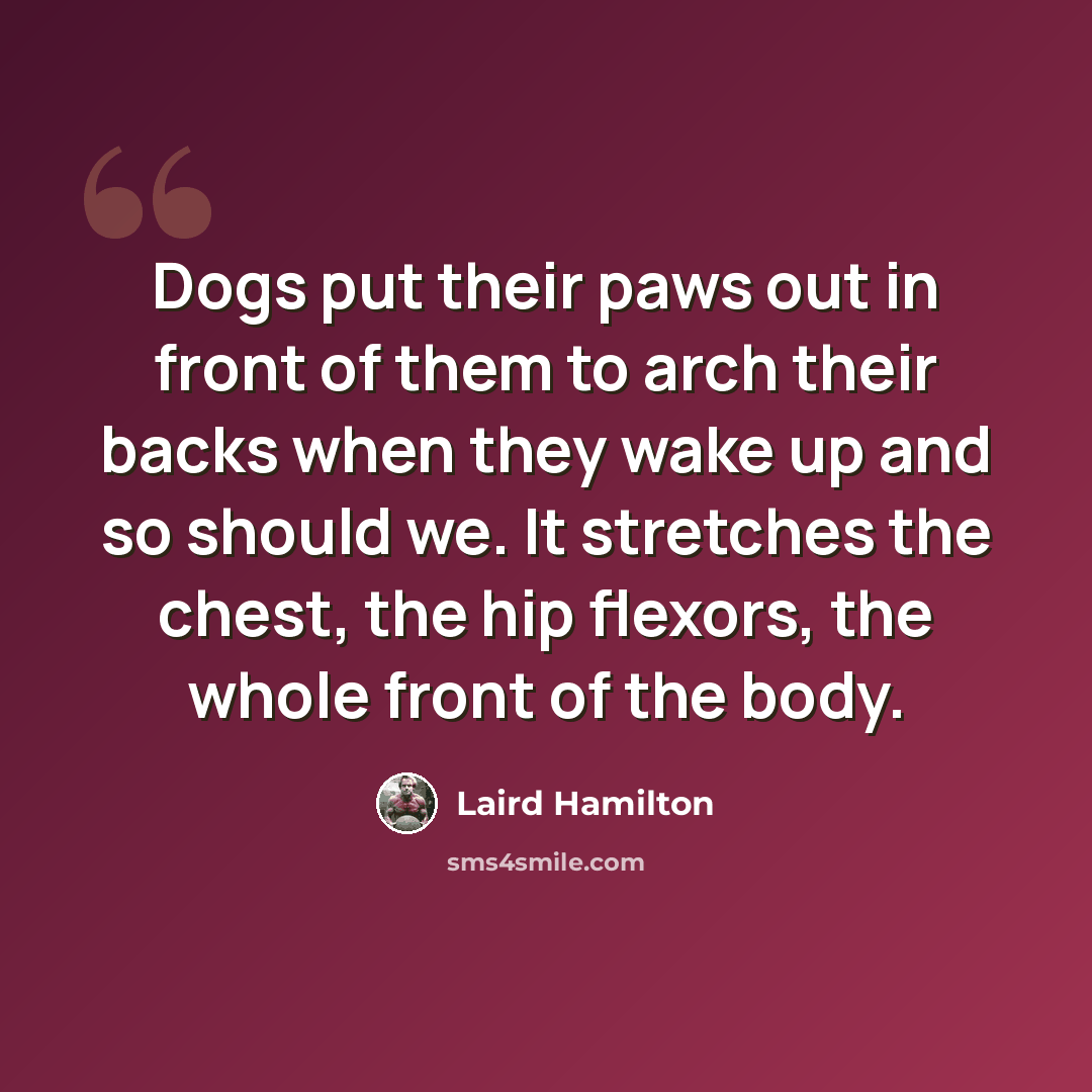 “Dogs put their paws out in front of them to arch their backs when they wake up and so should we. It stretches the chest, the hip flexors, the whole front of the body.” quote by Laird Hamilton