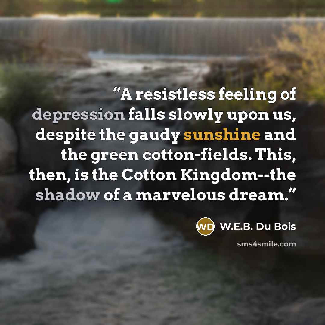 “A resistless feeling of depression falls slowly upon us, despite the gaudy sunshine and the green cotton-fields. This, then, is the Cotton Kingdom--the shadow of a marvelous dream.” quote by W.E.B. Du Bois