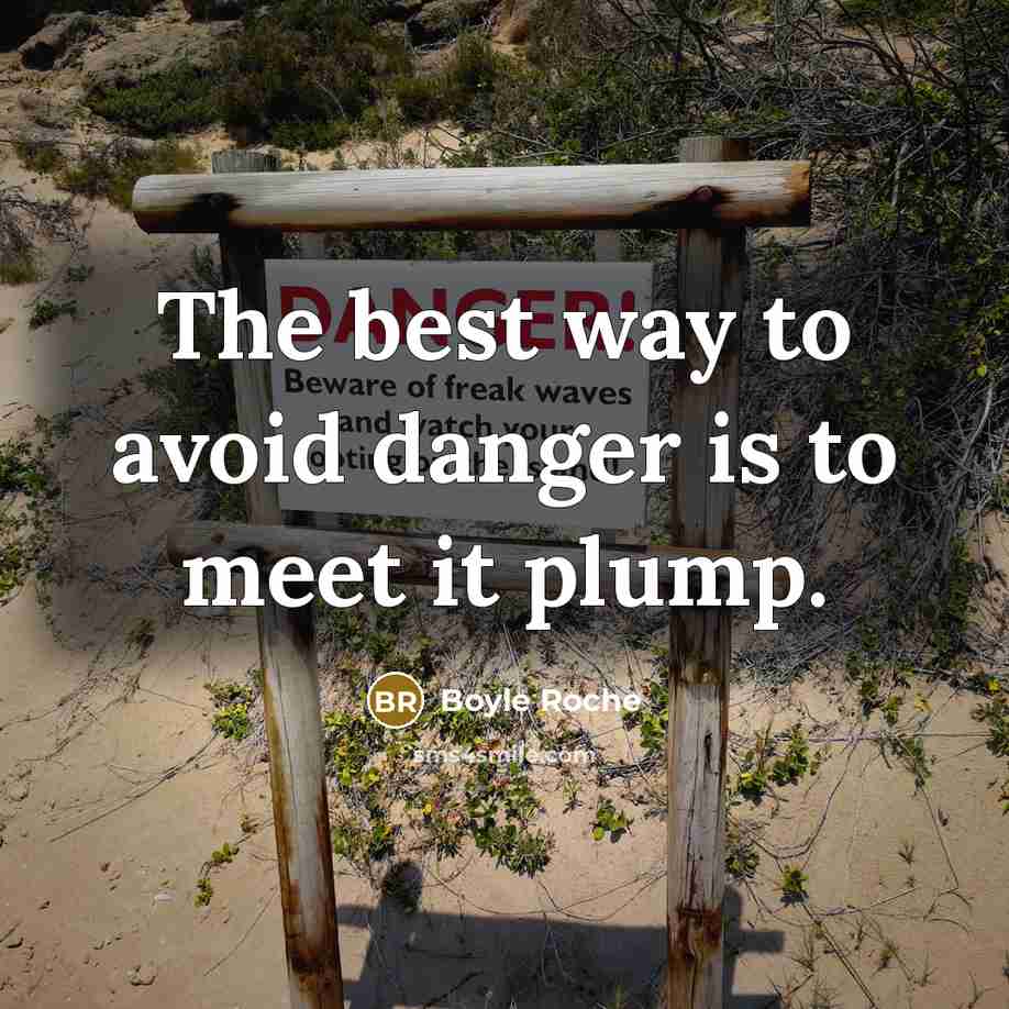 “The best way to avoid danger is to meet it plump.” quote by Boyle Roche