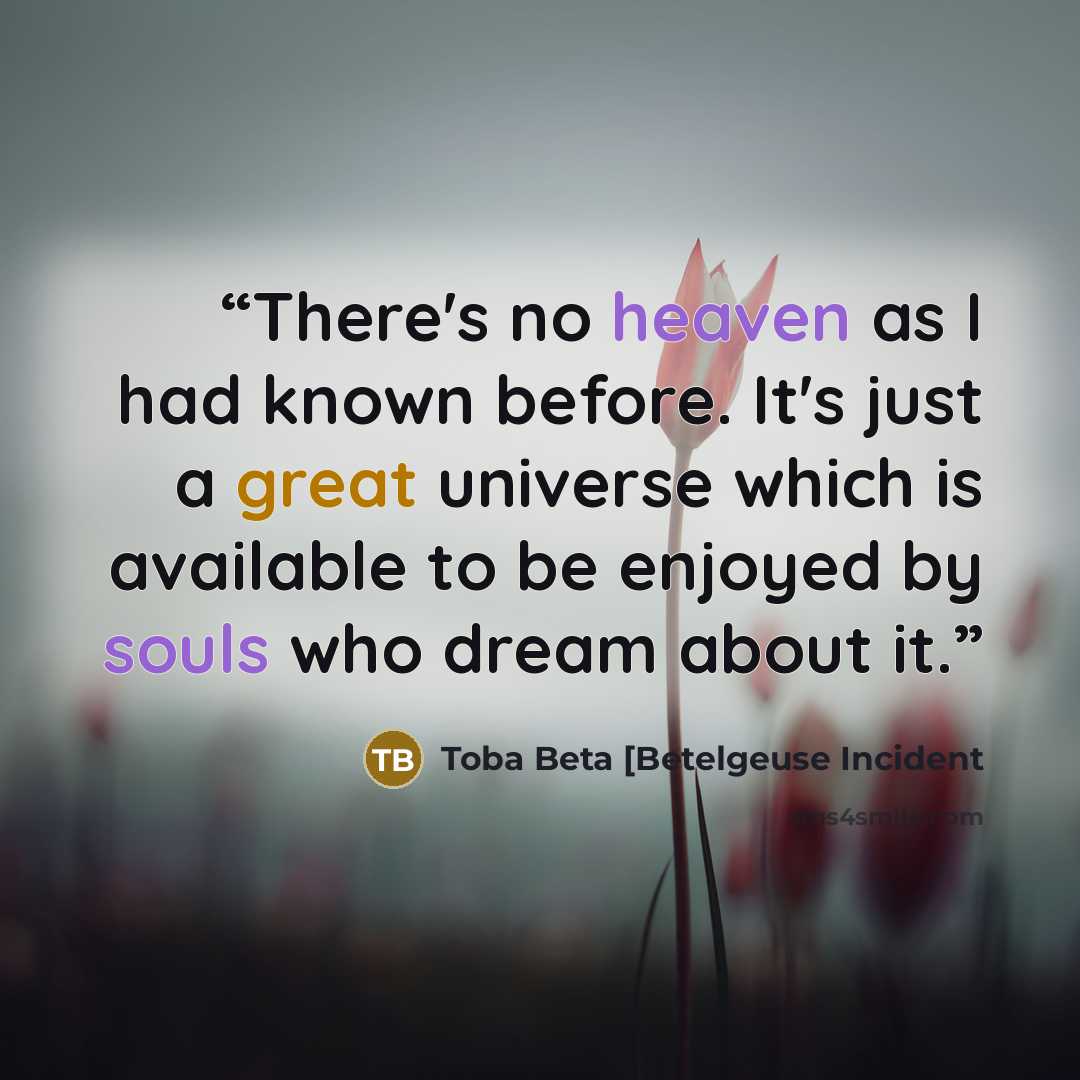 “There's no heaven as I had known before. It's just a great universe which is available to be enjoyed by souls who dream about it.” quote by Toba Beta [Betelgeuse Incident