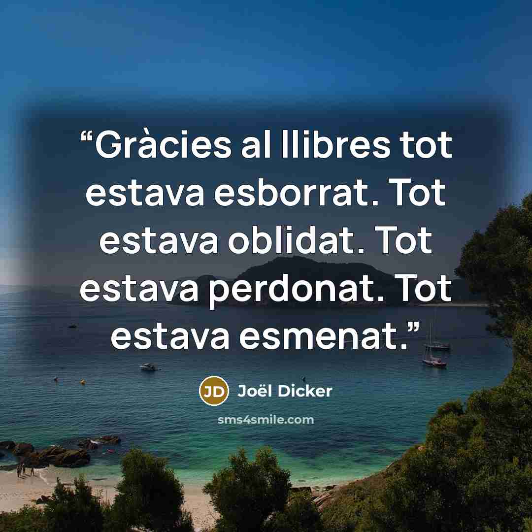“Gràcies al llibres tot estava esborrat. Tot estava oblidat. Tot estava perdonat. Tot estava esmenat.” quote by Joël Dicker