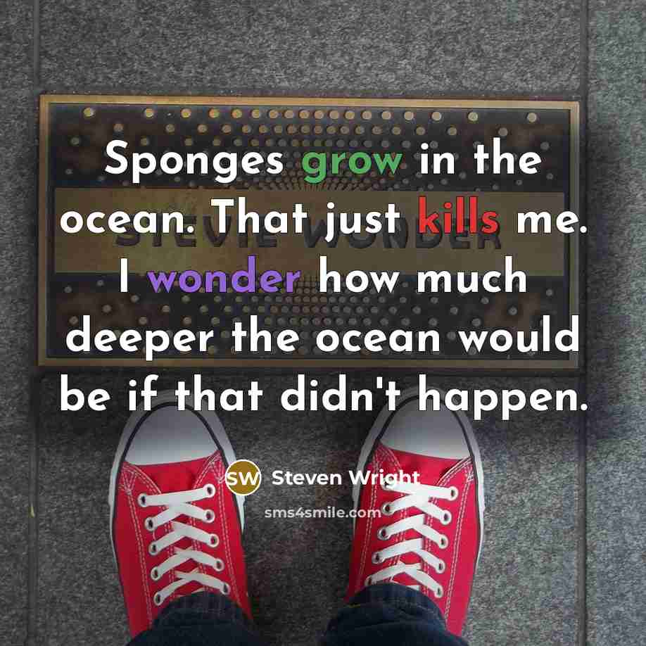 “Sponges grow in the ocean. That just kills me. I wonder how much deeper the ocean would be if that didn't happen.” quote by Steven Wright