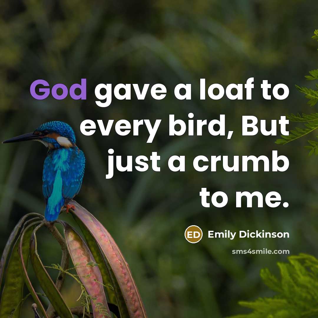 “God gave a loaf to every bird, But just a crumb to me.” quote by Emily Dickinson