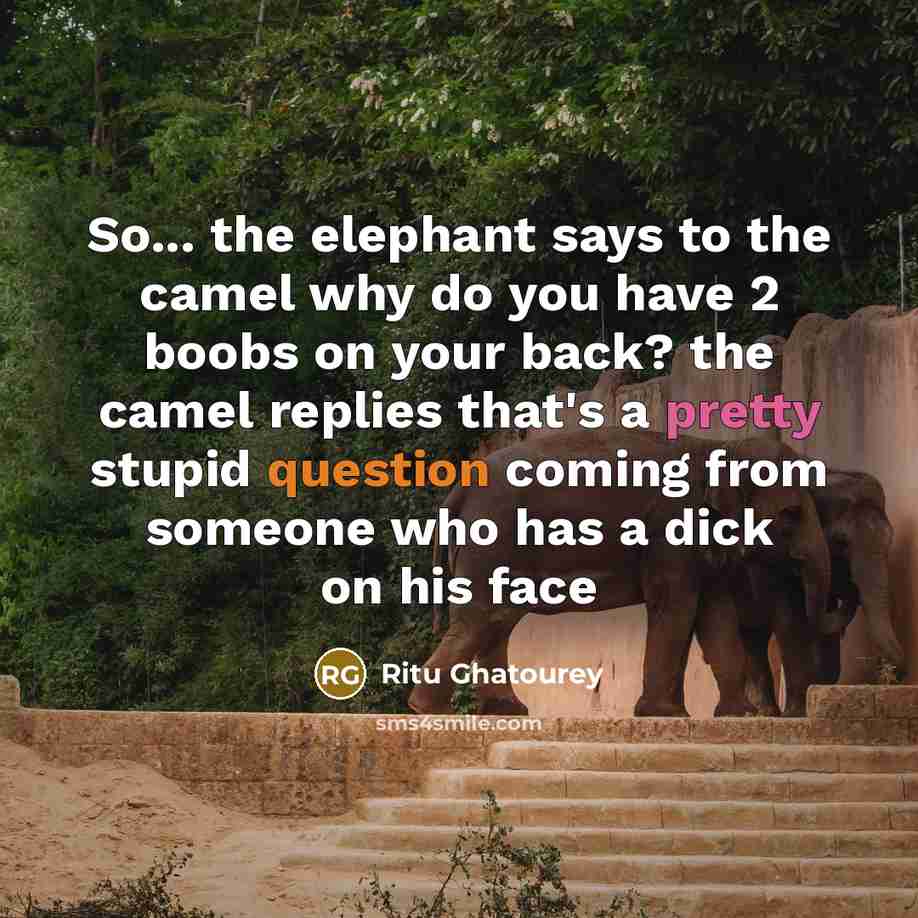 “So... the elephant says to the camel why do you have 2 boobs on your back? the camel replies that's a pretty stupid question coming from someone who has a dick on his face” quote by Ritu Ghatourey