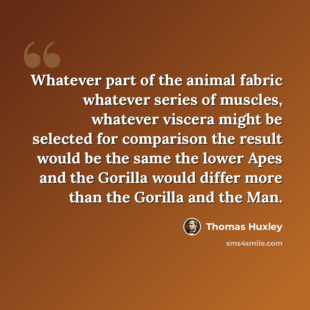 “Whatever part of the animal fabric whatever series of muscles, whatever viscera might be selected for comparison the result would be the same the lower Apes and the Gorilla would differ more than the Gorilla and the Man.” quote by Thomas Huxley