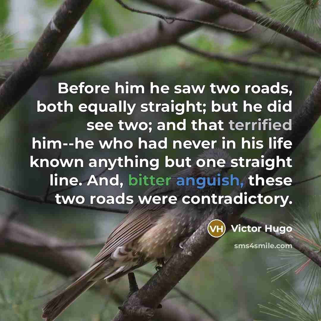 “Before him he saw two roads, both equally straight; but he did see two; and that terrified him--he who had never in his life known anything but one straight line. And, bitter anguish, these two roads were contradictory.” quote by Victor Hugo