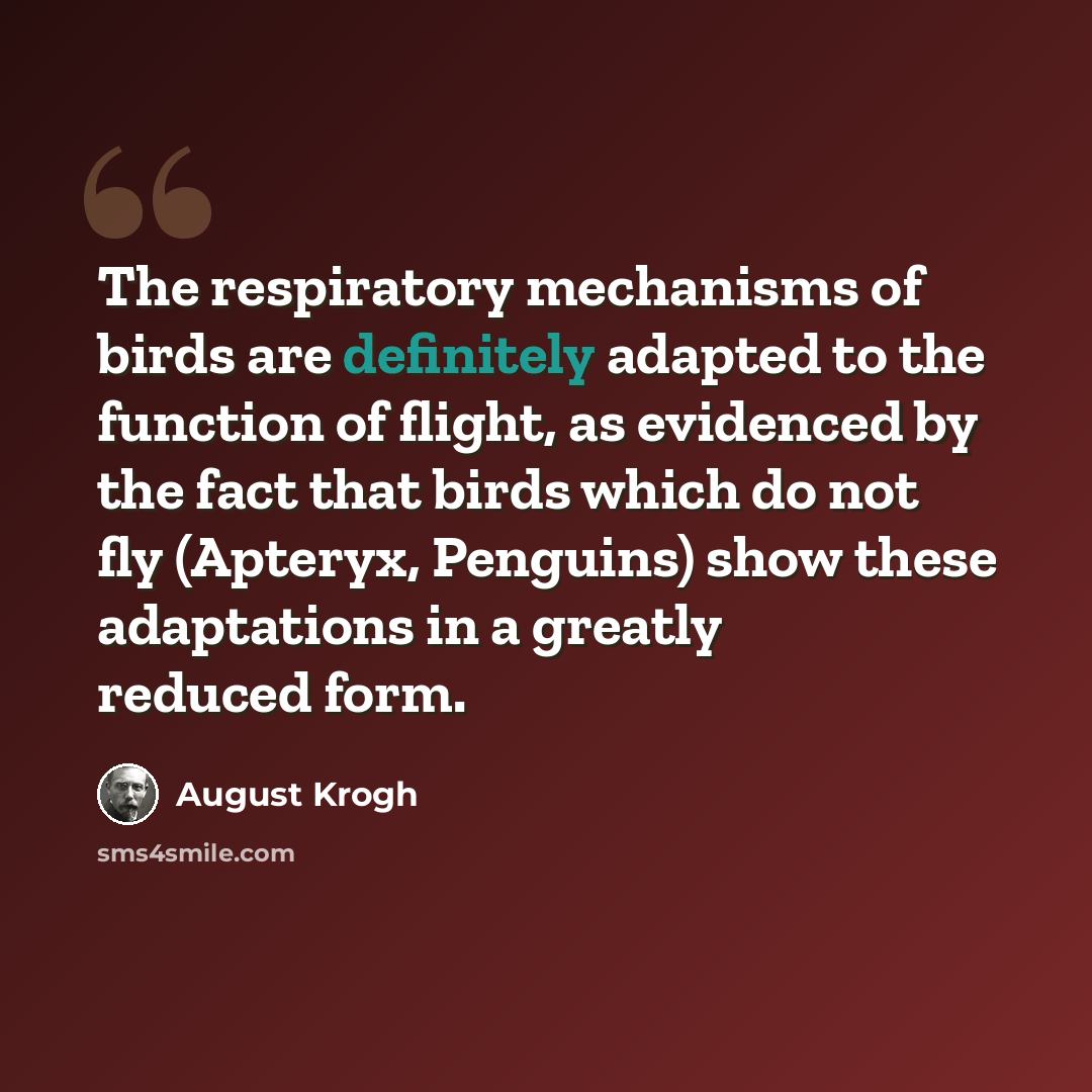 “The respiratory mechanisms of birds are definitely adapted to the function of flight, as evidenced by the fact that birds which do not fly (Apteryx, Penguins) show these adaptations in a greatly reduced form.” quote by August Krogh