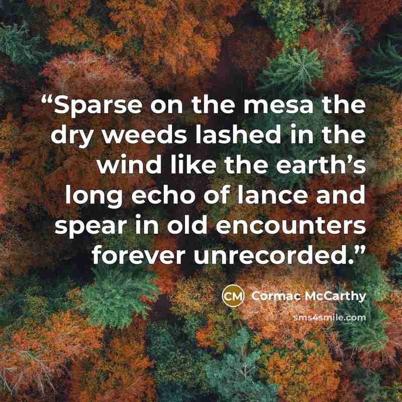 “Sparse on the mesa the dry weeds lashed in the wind like the earth’s long echo of lance and spear in old encounters forever unrecorded.” quote by Cormac McCarthy