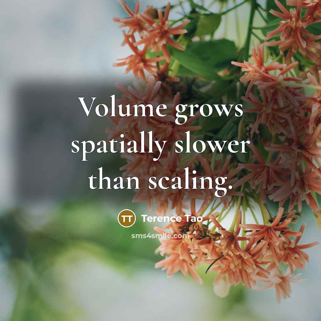 “Volume grows spatially slower than scaling.” quote by Terence Tao