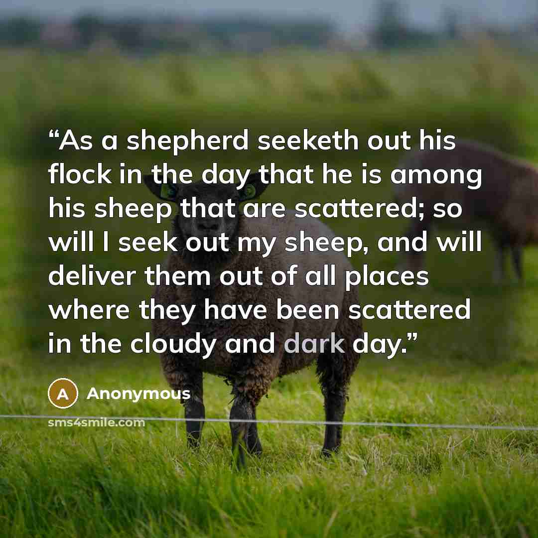 “As a shepherd seeketh out his flock in the day that he is among his sheep that are scattered; so will I seek out my sheep, and will deliver them out of all places where they have been scattered in the cloudy and dark day.” quote by Anonymous