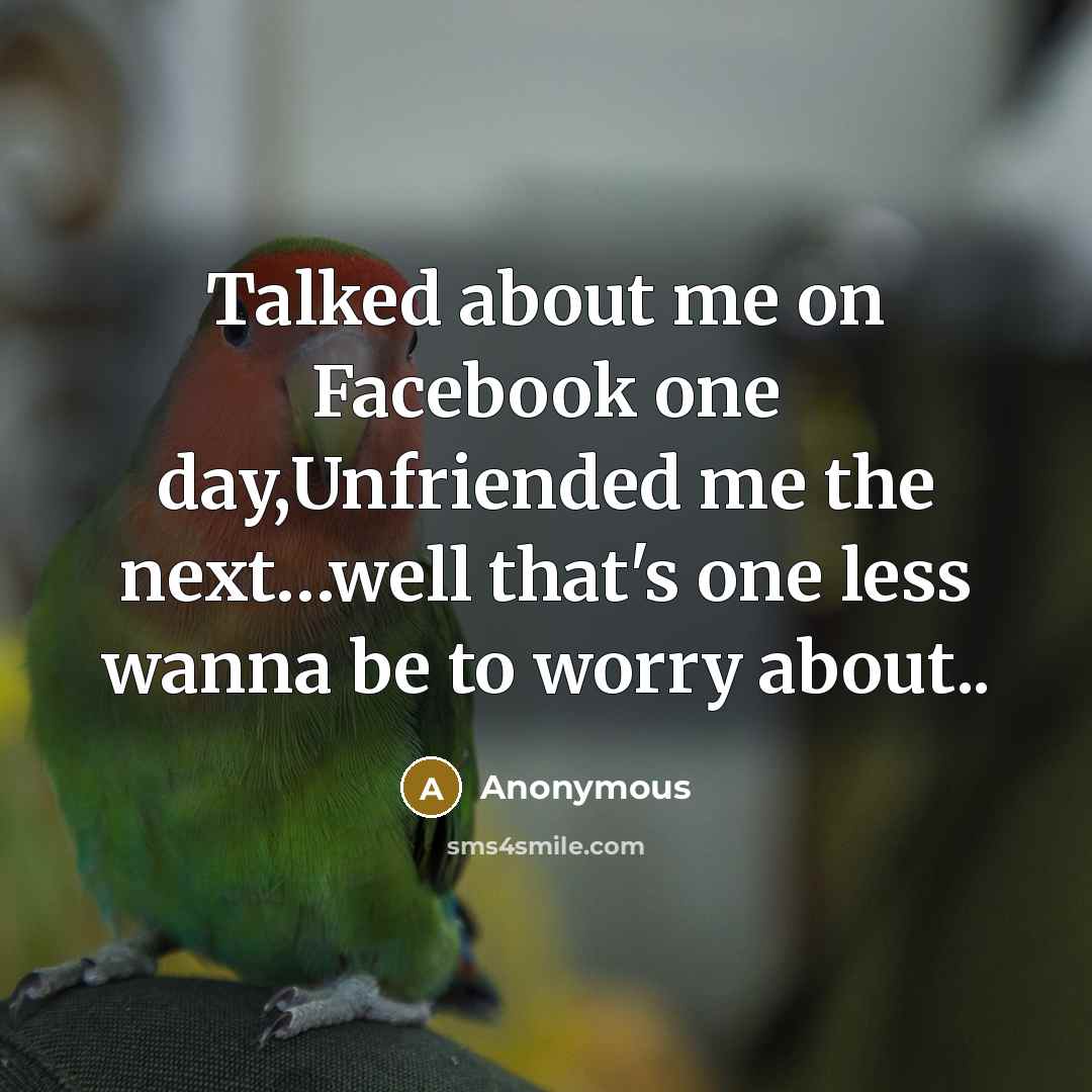 “Talked about me on Facebook one day,Unfriended me the next…well that's one less wanna be to worry about..” quote by Anonymous