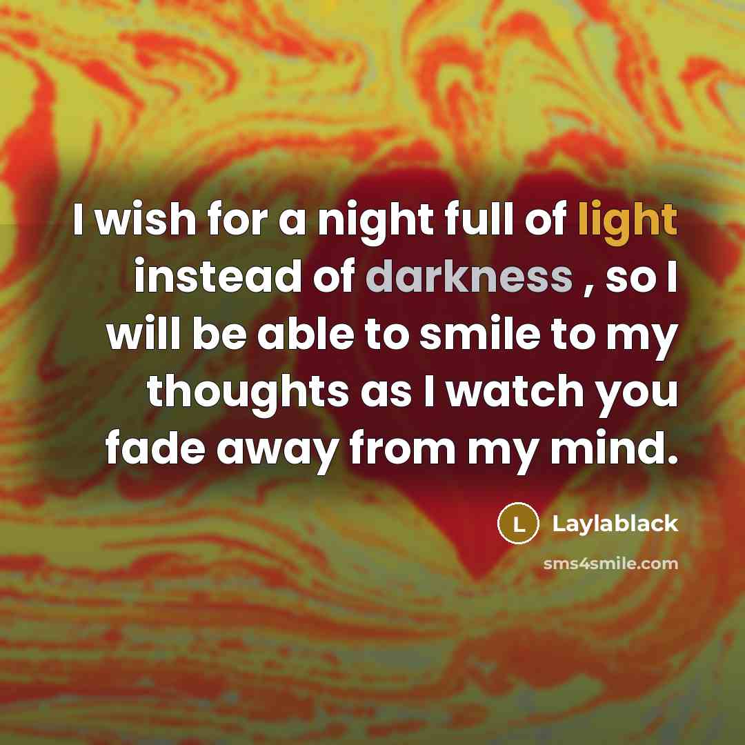 “I wish for a night full of light instead of darkness , so I will be able to smile to my thoughts as I watch you fade away from my mind.” quote by Laylablack