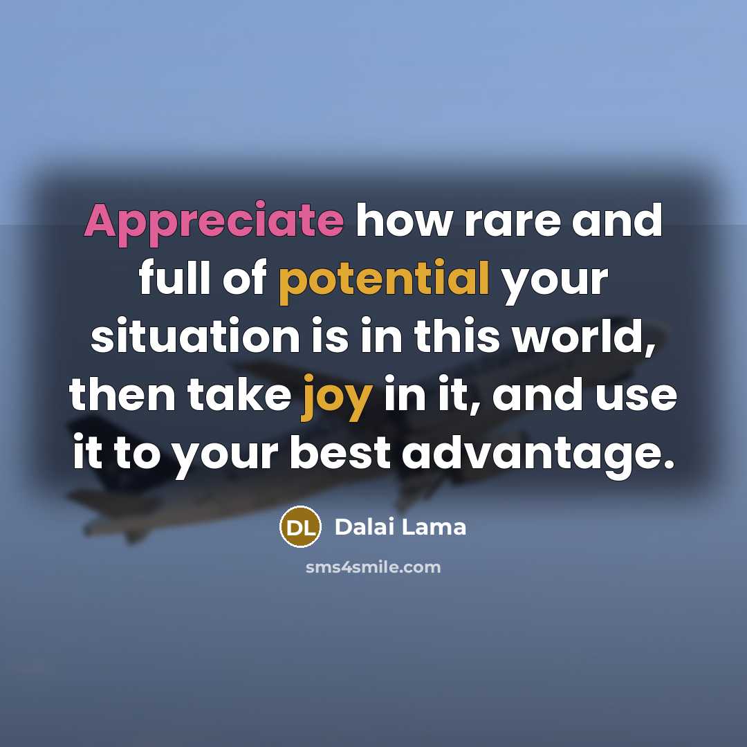 “Appreciate how rare and full of potential your situation is in this world, then take joy in it, and use it to your best advantage.” quote by Dalai Lama
